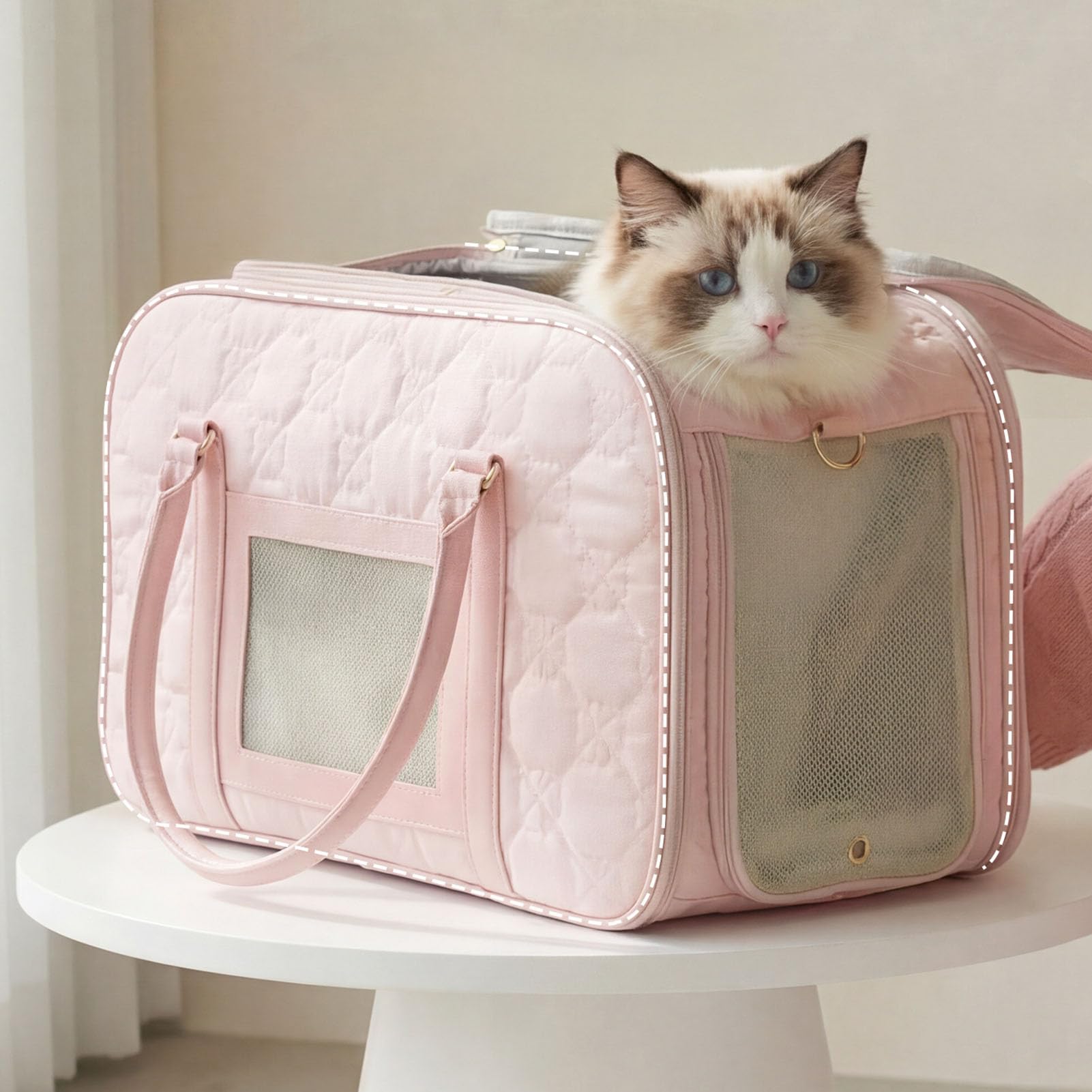 Generic Trasportino per Animali Domestici con Lato Morbido Pieghevole Gonfio con Cuscino Fino a 22 Libbre per Cani di (Para gatos de menos de 10 kg o perros menos)