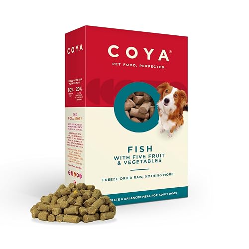 Coya Kibble