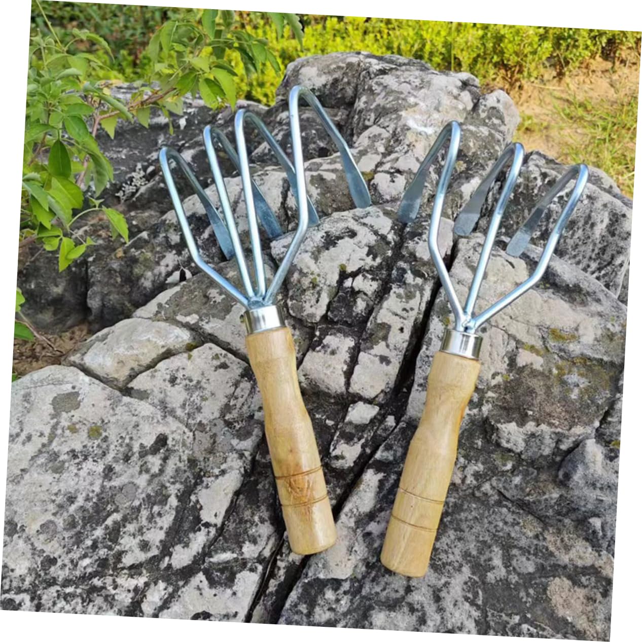 Muschelrechen mit Griff 2 Stück aus Edelstahl und Holz für Strand | Klauenrechen, Silberne Ausführung, für Austern und Muschelsammelwerkzeug, Handliches 2stücke
