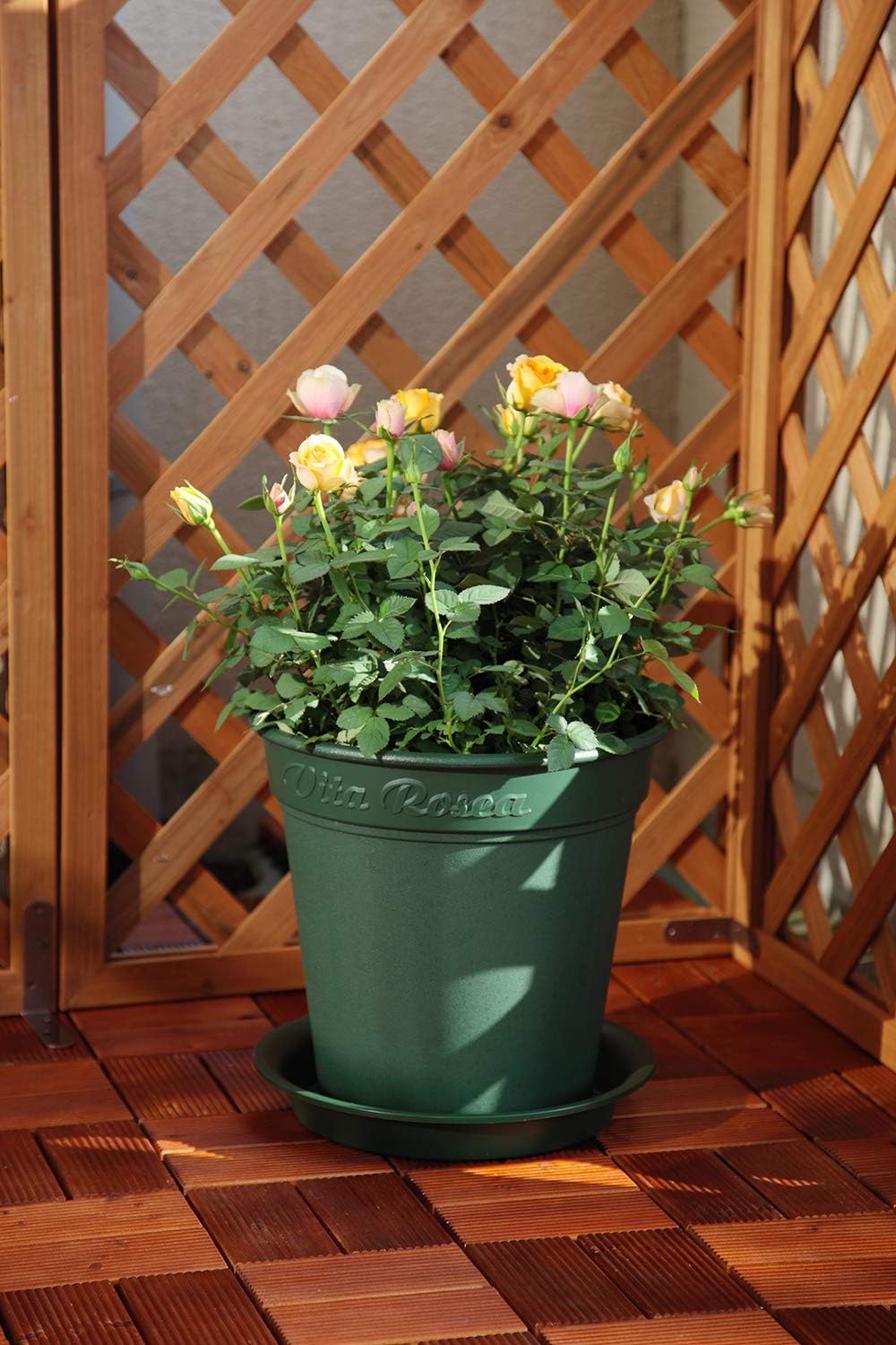 Appleware Rosea Pot Plate, Type 180, Green
