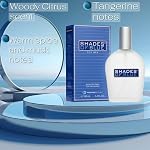 PB ParfumsBelcam Shades de Blue Eau de Toilette Spray pour les hommes – Citrus frais boisé Cologne avec mandarine, épices chaudes & Mousse – Hommes de style méditerranéen Parfum, Abordable Scent quotidien, 3.4 C'est vrai.