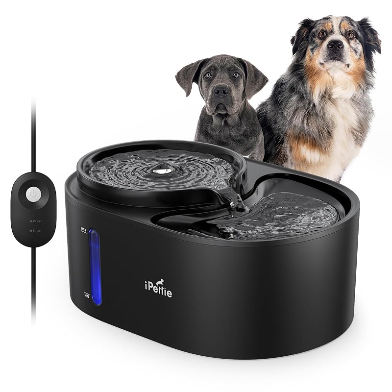 Fonte de Água para Gatos e Cães iPettie em Aço Inoxidável com Filtro de 5 Estágios, 6 L