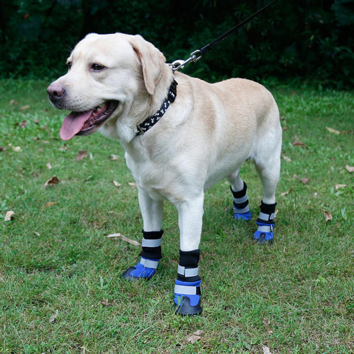 Gatuida 8 Stück rutschfeste Hundeschuhe für Pfotenschutz, Lange Stiefel