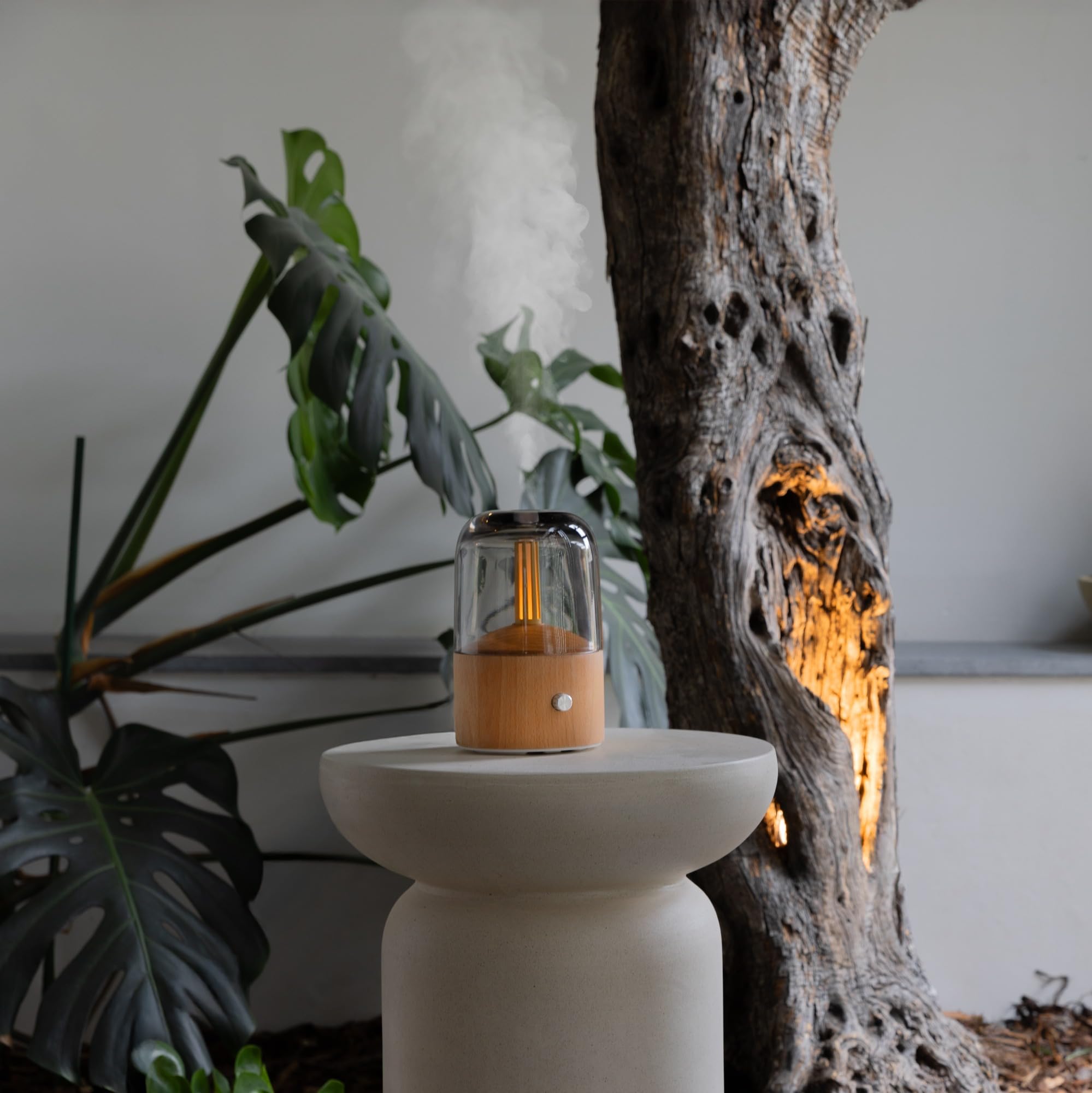 Diffuseur d'ambiance Lanaform Davy Mist Bois