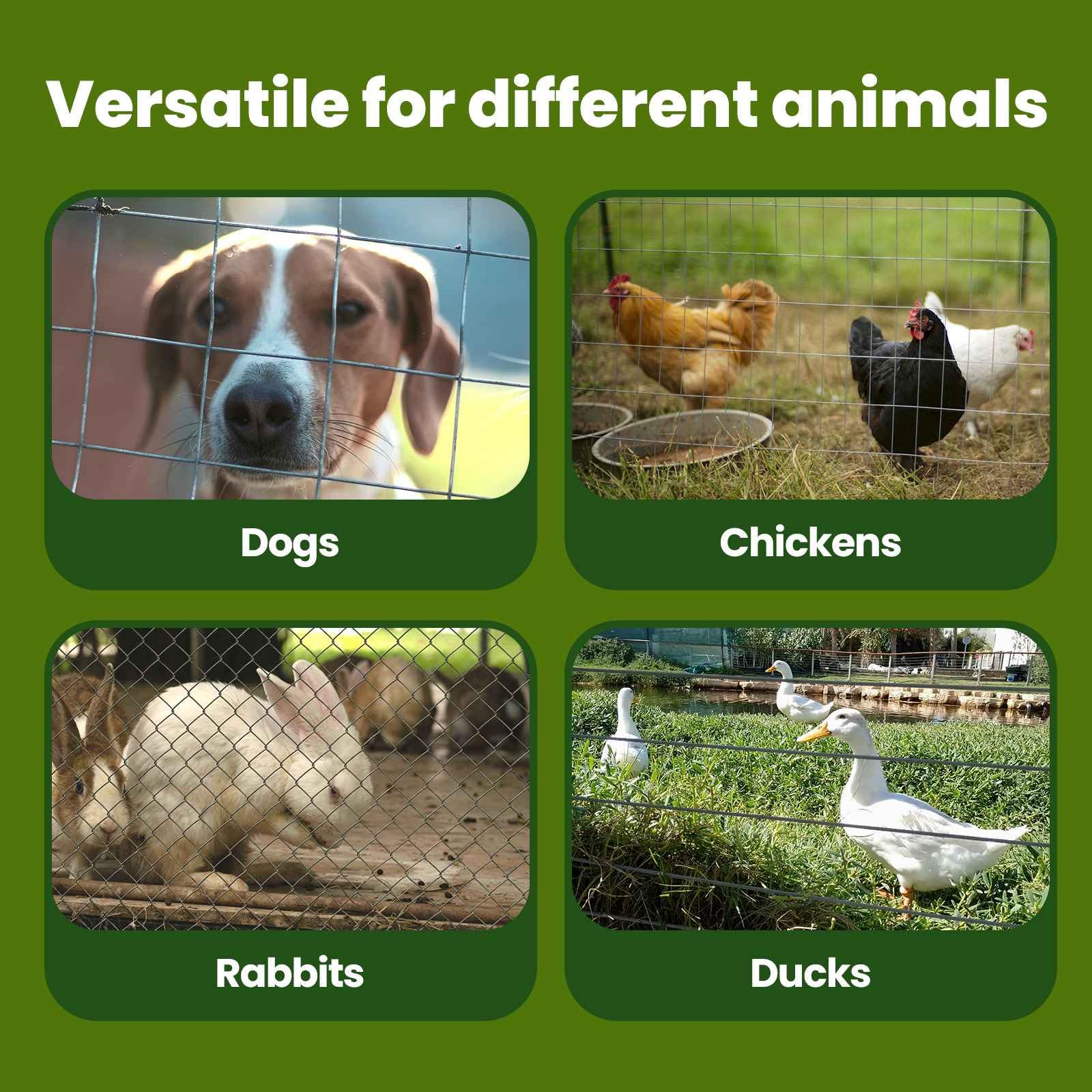 vidaXL Gabbia per Cani Argento 200 x 200 x 200 cm Acciaio zincato, Cage da Giardino e Terrazzo, Gabbia Rustica, Kennel Esterno, Rifugio per Canini, Area Sicura per Animali