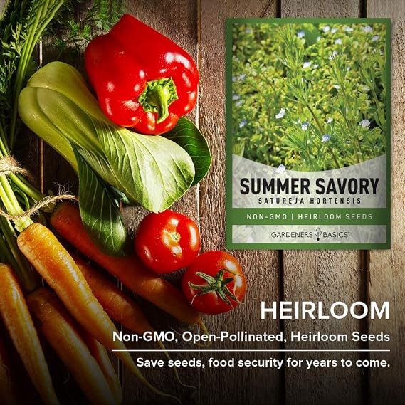 Gardeners Basics Summer Savory Seeds for Planting is A Heirloom, Non-GMO Herb Variety, Satureja Hortensis Herb Seeds Great for Indoor, Outdoor, Hydroponic Gardening