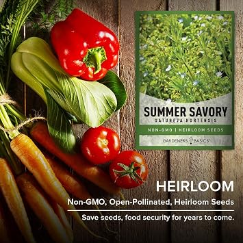 Gardeners Basics Summer Savory Seeds for Planting is A Heirloom, Non-GMO Herb Variety, Satureja Hortensis Herb Seeds Great for Indoor, Outdoor, Hydroponic Gardening