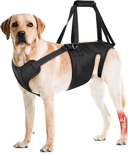 Arnés de elevación para perros, cabestrillo para perros grandes y medianos, soporte para patas traseras para orinar. Ideal para personas mayores,