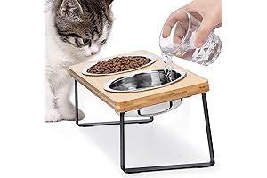 Loplurea Elevated Tilted Stainless Steel Cat Food Bowl - 15° Cat Dish Stand