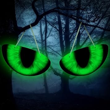 Winnerwhy 2 Pcs Spooky Halloween Glowing Eyes Glow in Dark Eyeball Hanging