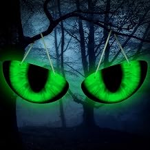 Winnerwhy 2 Pcs Spooky Halloween Glowing Eyes Glow in Dark Eyeball Hanging