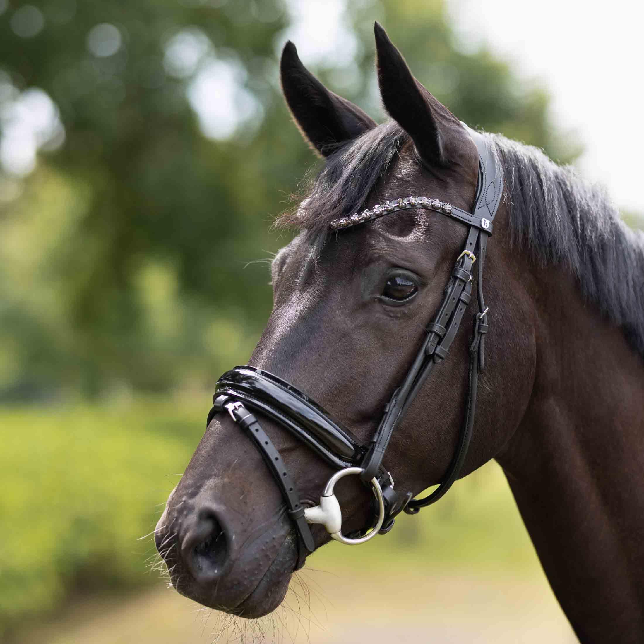 Horze Clermont Brida anatómica, Negro, XF