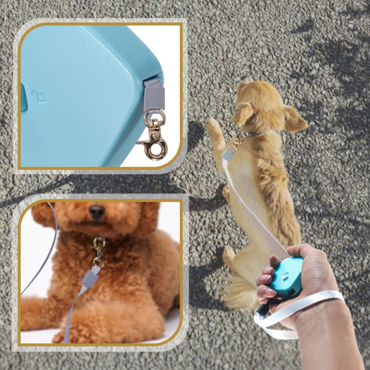 Ausziehbare Hundeleine für Kleine Hunde Tragbare Kleiner Hundeleine aus Nylon mit 2 Meter Länge für Outdoor Spaziergänge