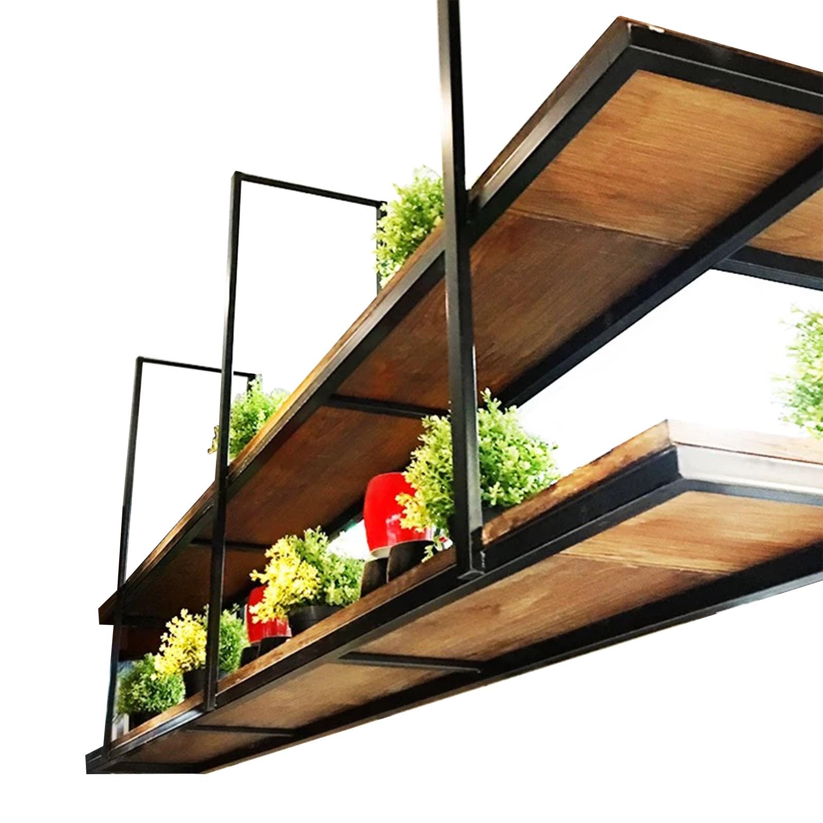 Étagère murale pour plantes et herbes aromatiques dans la cuisine