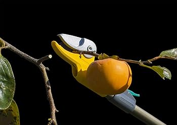 Amazon | ムサシ 「腕で押し切る新構造」 高枝切鋏 【すご腕プッシュ Amazon | ムサシ 「腕で押し切る新構造」 高枝切鋏 【すご腕プッシュ