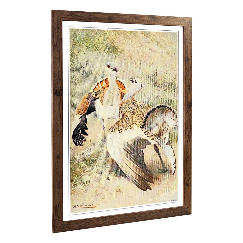 Big Box Art Framed Print of Vintage W Kuhnert Bustard Design | Wall Art Picture | Home Decor for Kitchen, Living Room, Bedroom, Hallway, Walnut, A2 / 24.5x18 Inch / 62x45cm