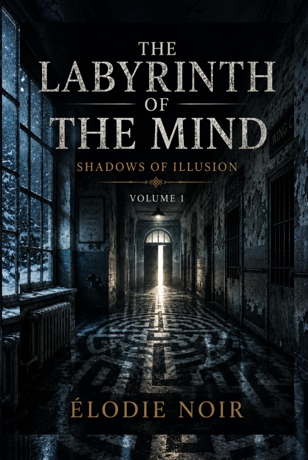 LABYRINTH OF THE MIND: Shadows of Illusion: Volume 1