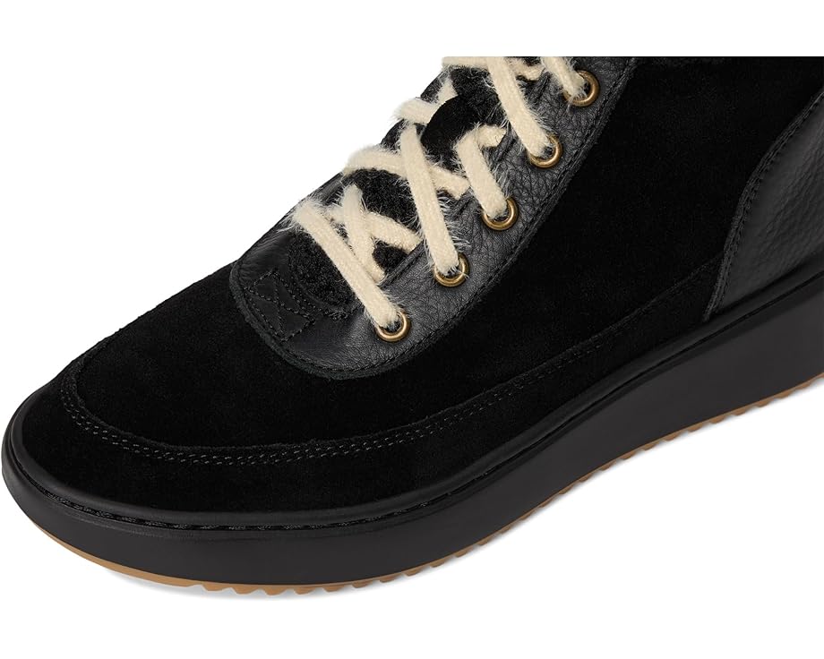 VIONIC Olympia - Top View