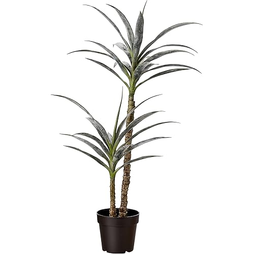 Amazon Basics Artificial Yucca Plant with Plastic Nursery Pot, 40-Inch, Medium