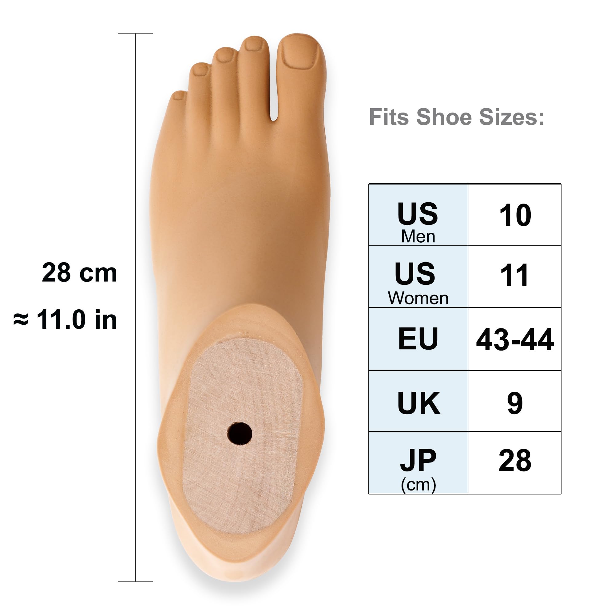 Pie protésico SACH con dedo dividido - Color beige, tallas 20-30 cm, rosca M10 (Pie izquierdo,Beige,28CM)