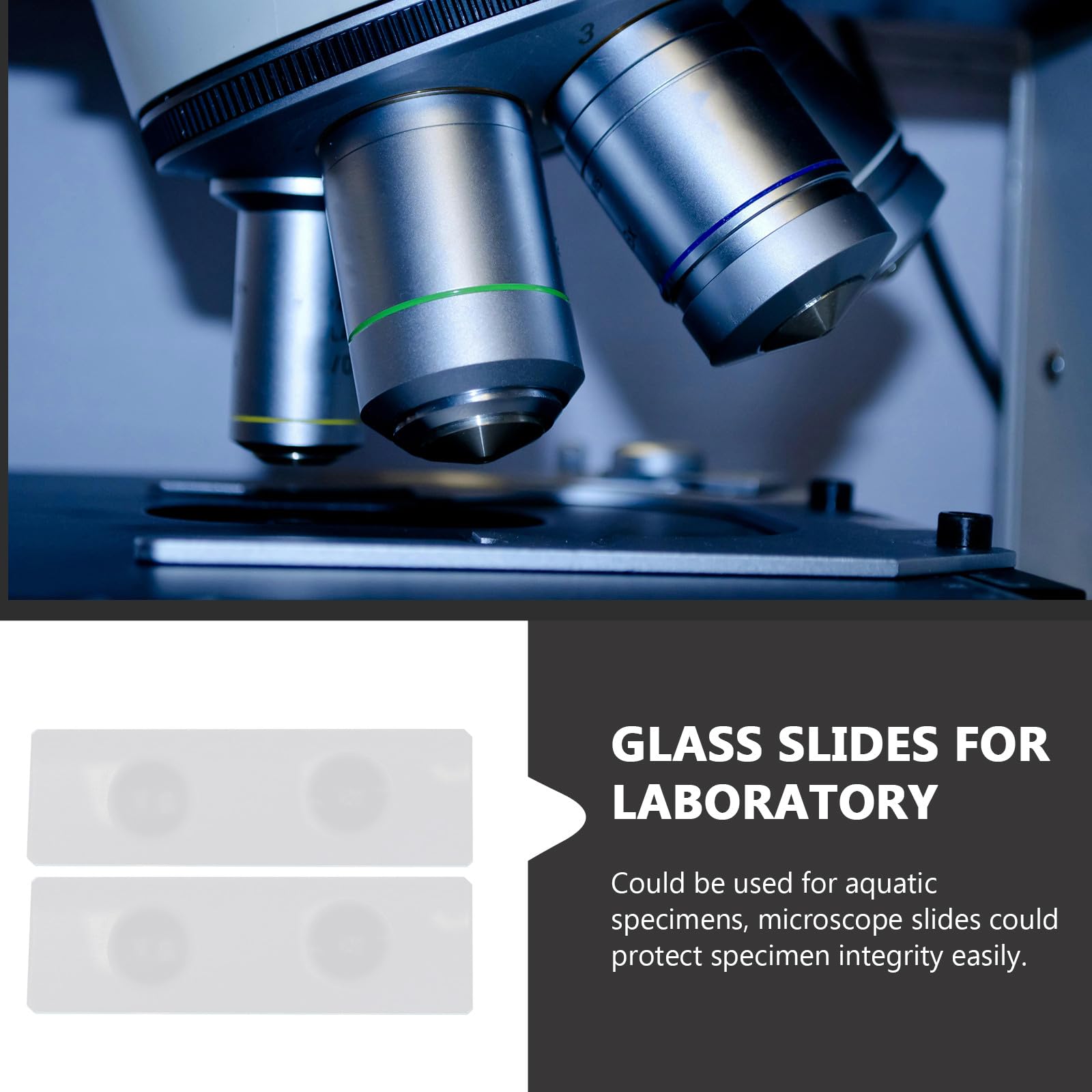 Portaobjetos de Vidrio Doble Cóncavo Resistente y Estable 50 Piezas para Muestras Acuáticas para Laboratorio y Observación Precisa