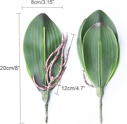 Vista 2 de Fnize hojas de orquídea artificiales Phalaenopsis tallos hoja de imitación Cymbidium flor follaje verde real táctil látex a granel 8 pulgadas 2pcs