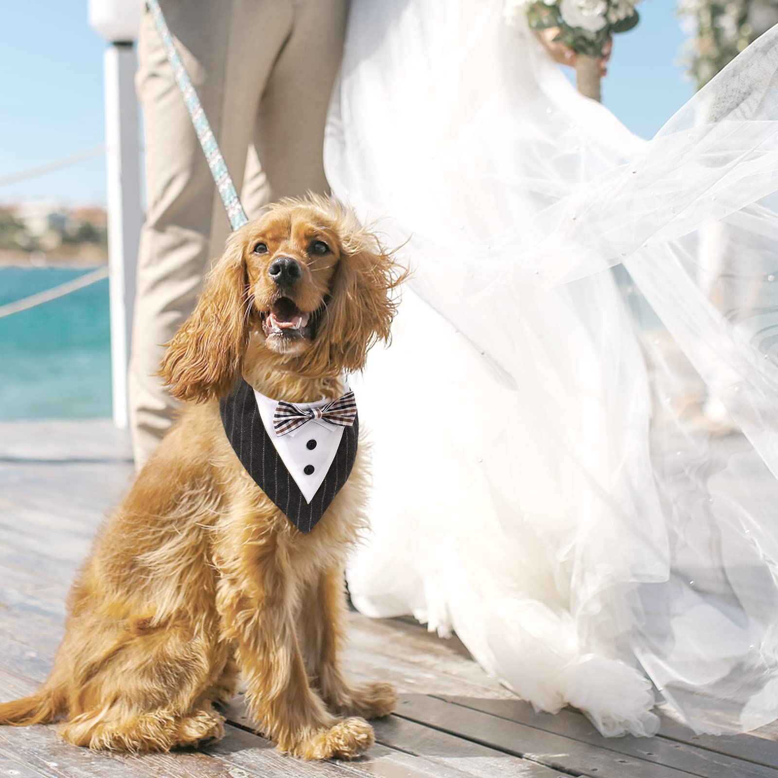 Kuoser Hunde Smoking Halstuch, Fliege für Hochzeit, Formelle Krawatte Outfit, Haustier Bandana für Mittelgroße & Große Hunde, Verstellbar Max. Halsumfang 60cm