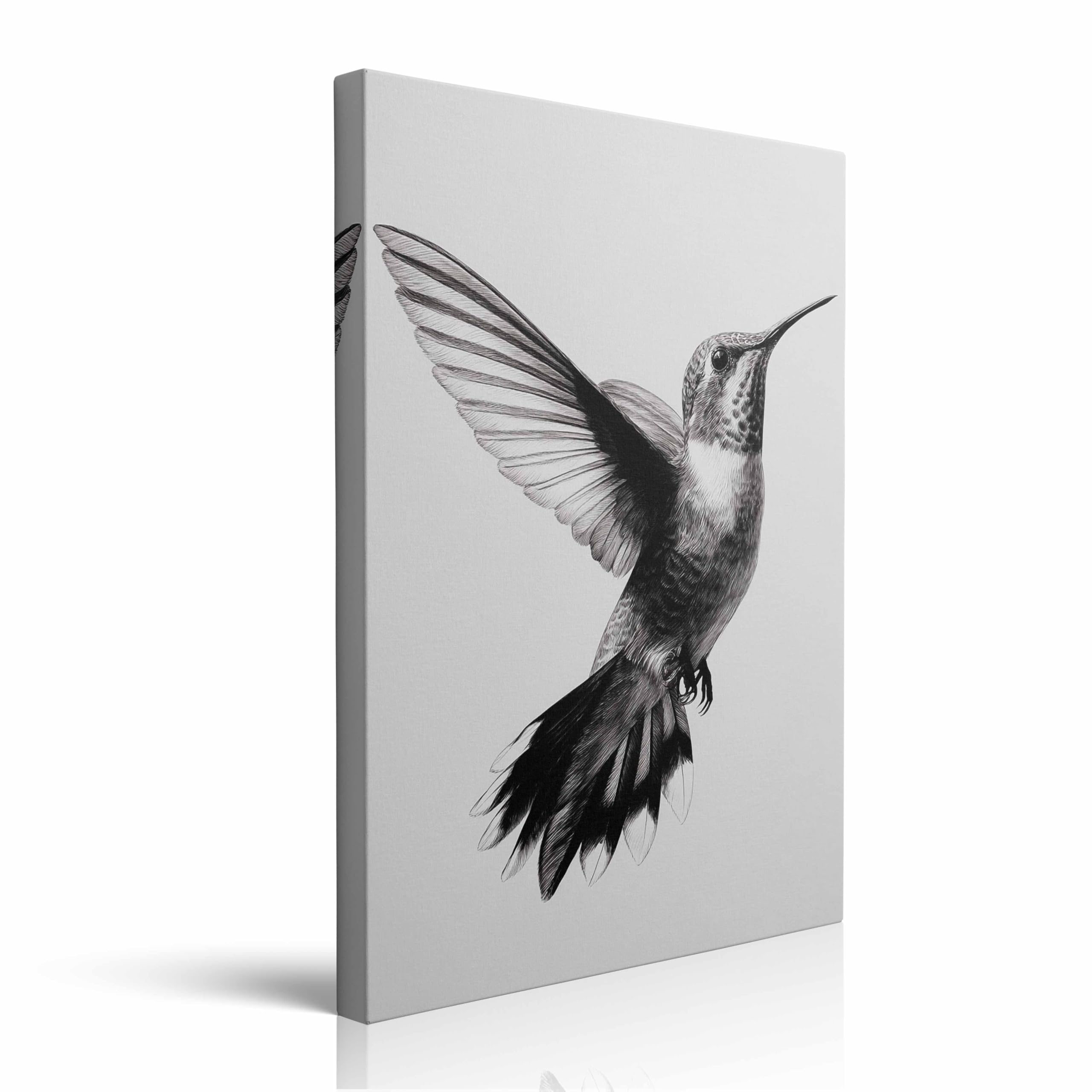 MAQCM Minimalist Hummingbird Sketch