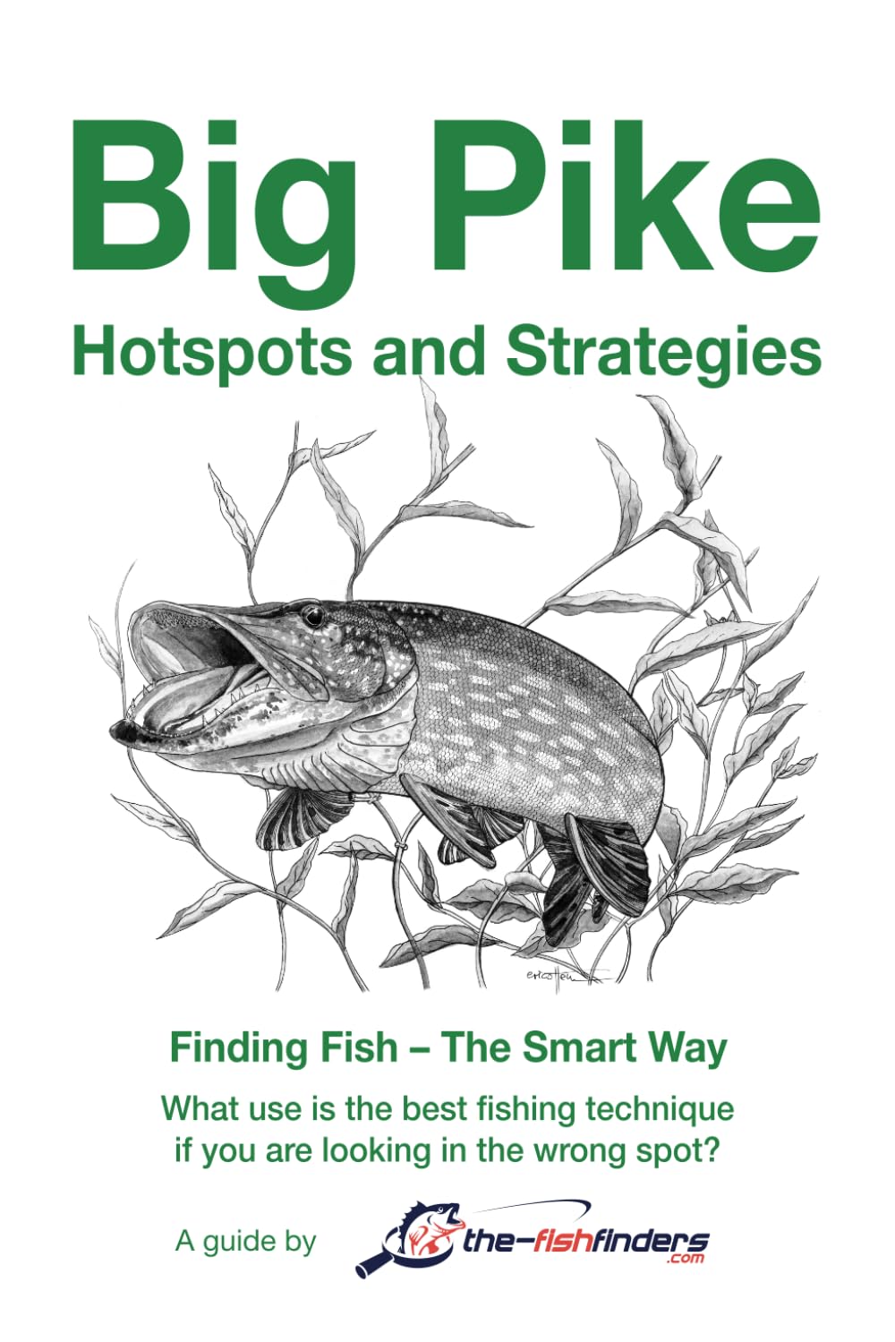 Pike book - "Finding Fish - The Smart Way - The Pike" ►: Hotspots for big pike - For every month ★★★★★