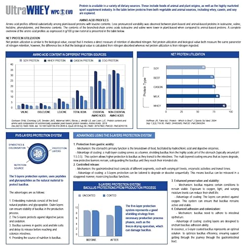 YAMAMOTO NUTRITION Ultra Whey WPC S EVO 2 kg, Integratore Alimentare di Proteine del Siero Concentrate e Spore di Bacillus, Aumento Massa Muscolare, Gusto Biscotto - 2