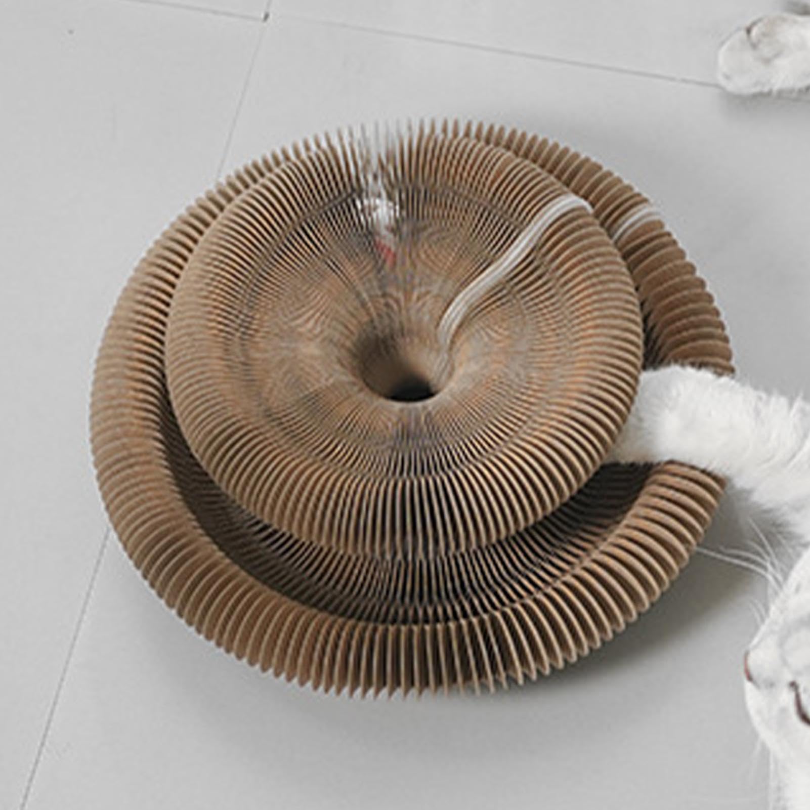 Planche à Gratter Magique Pour Chat, Jouet Interactif En Accordéon, Fournitures Pour Animaux De Compagnie