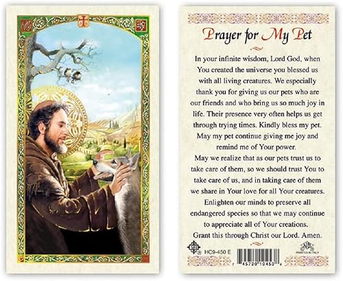 Hail Mary Gifts Tarjetas de oración San Francisco de Asís - Oración por mi PET 25PKG