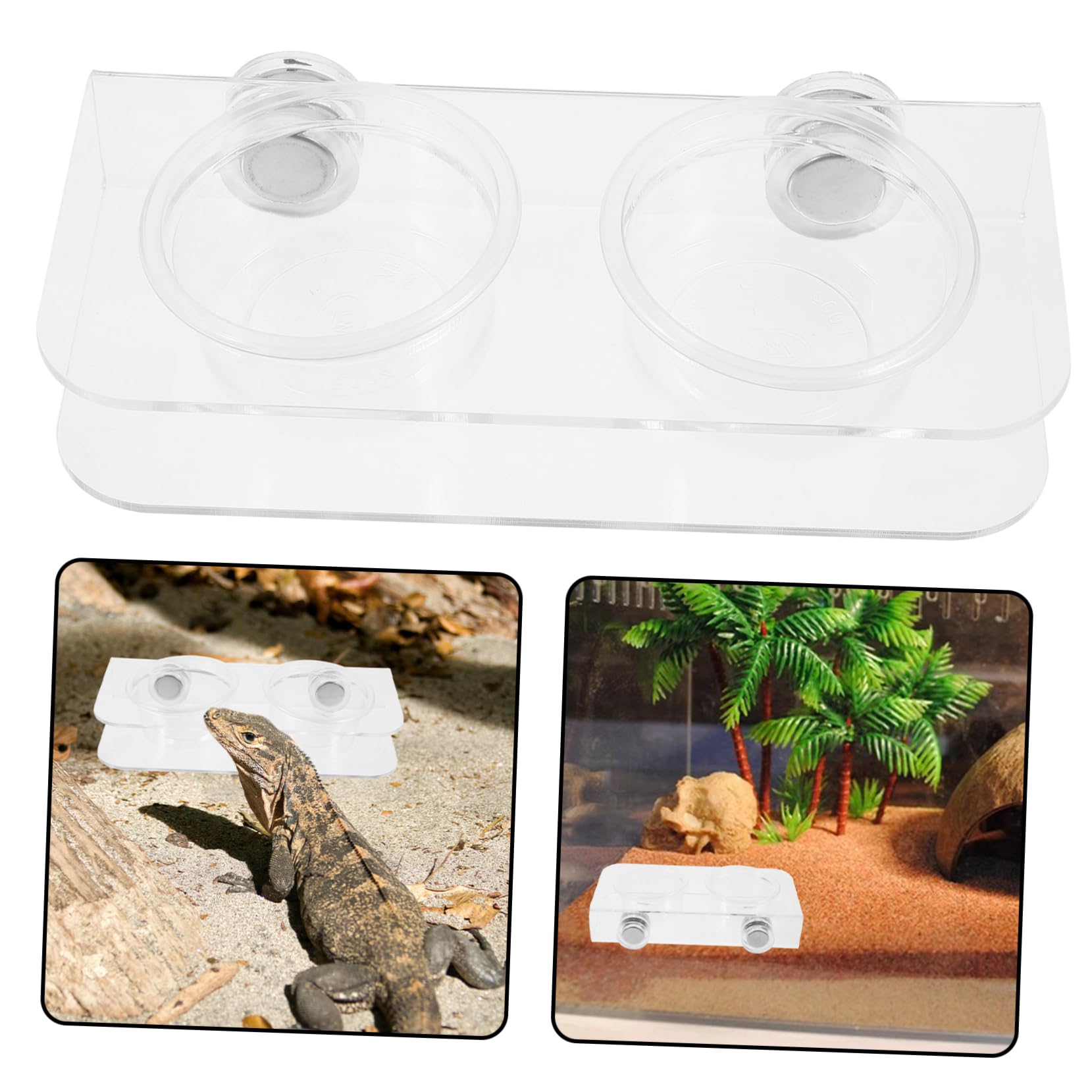 INOOMP 4juegos Contenedor De Alimentación Magnético para Reptiles Comedero y Bebedero De Transparente para y Pequeños Reptiles Incluye Tazas Fácil De Limpiar y Duradero