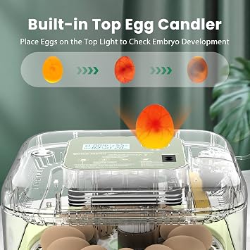 12 Egg Incubator with Humidity Display & Built-in Candler, Automatic Turner, Temp & Humidity Control, Auto Water Refill Digital Hatcher for Chicken, Duck, Quail, Parrot (Green, 12 Egg)
