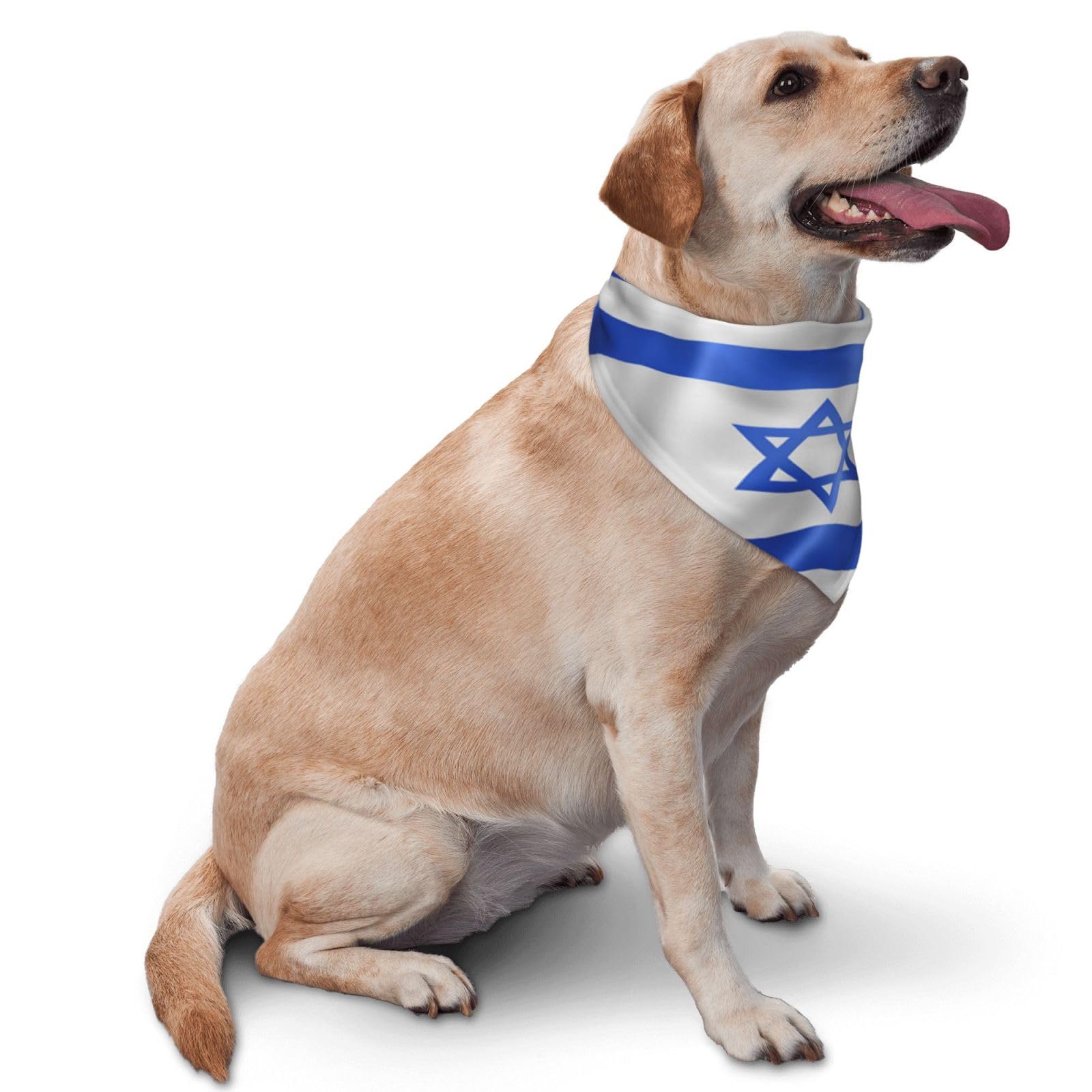 Littlearth University of Southern California USC Trojans Dog Cat Mesh Jersey Bandana Pink L/XL