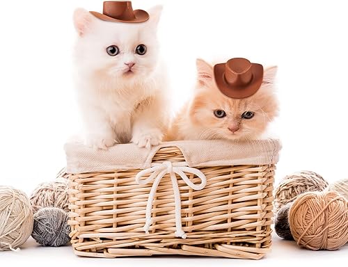 Miniatura 3 de 40 piezas de plástico mini sombrero de vaquera vaquera, sombrero occidental, decoración de cupcakes en miniatura, lindo muñeco de fiesta, accesorios