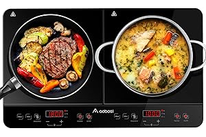 Aobosi 240 Mins Timer Dual Induction Cooktop