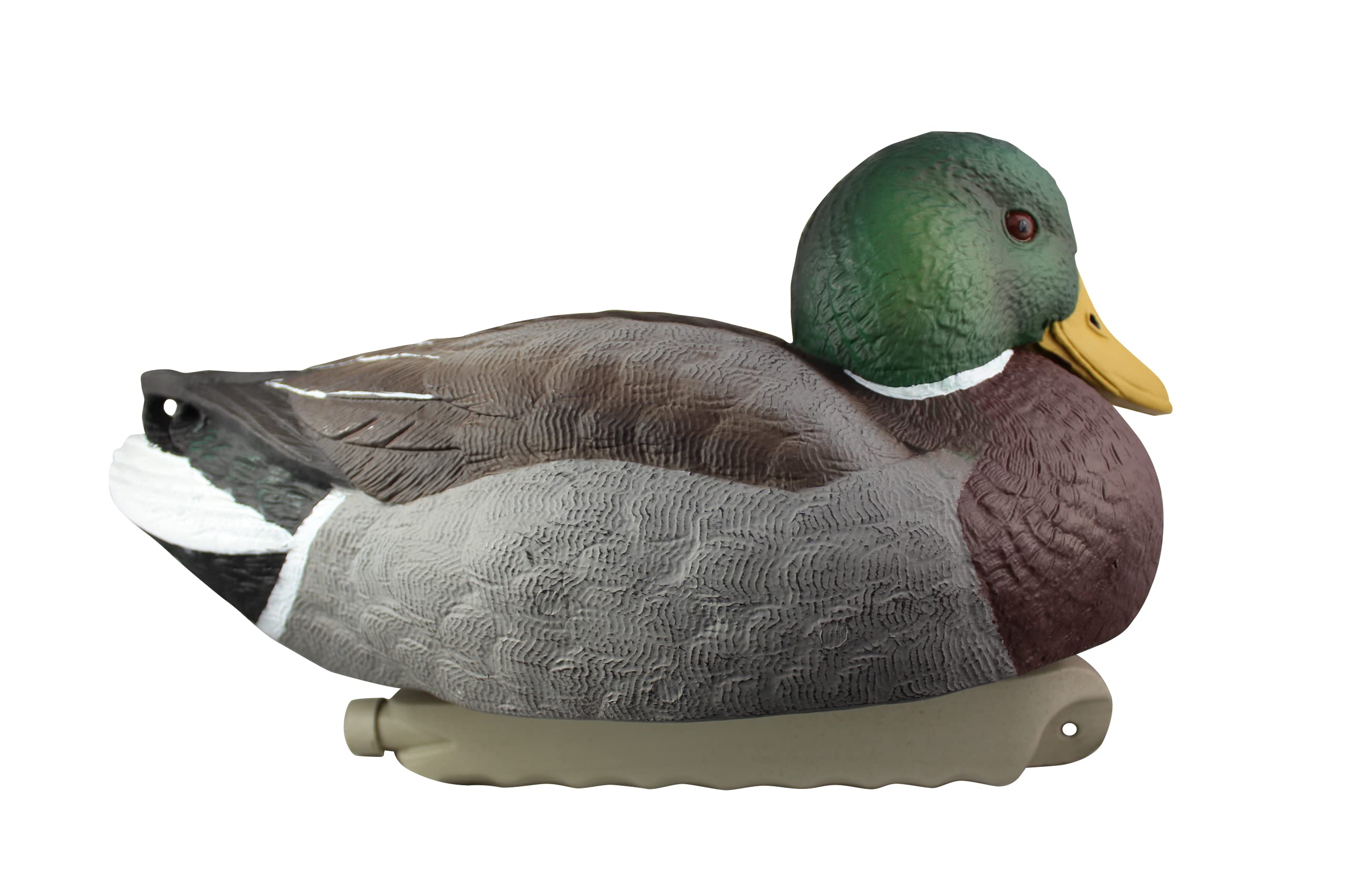 Cupped Waterfowl Finishing Mallards Duck Decoys Extremely Realistic
