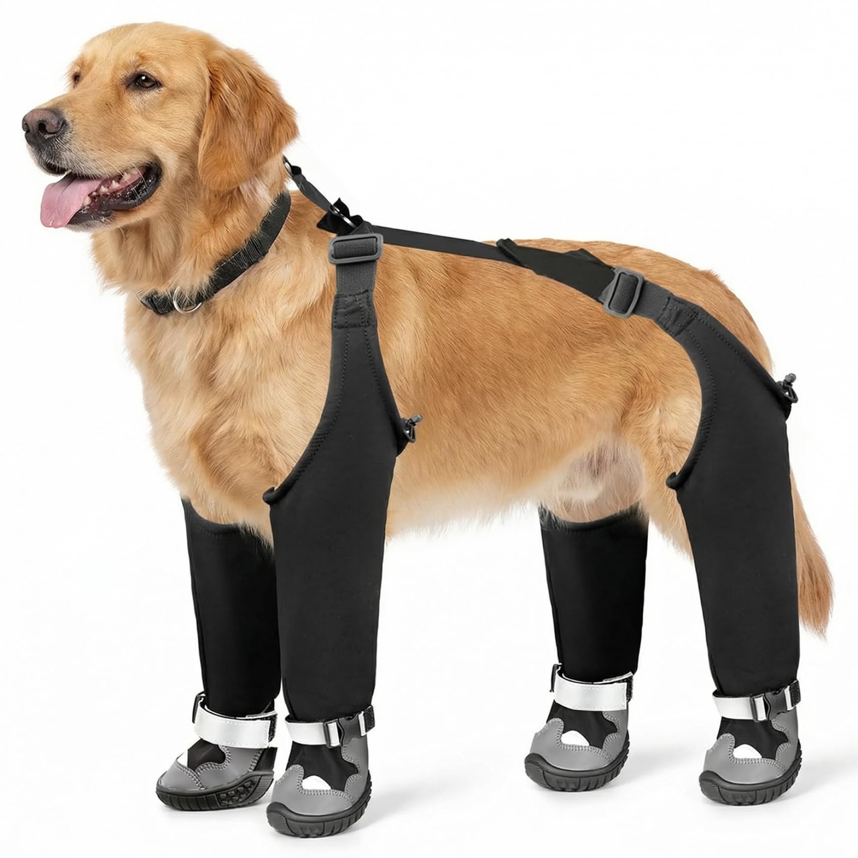 Bottes pour chien avec bretelles étanches et pantalons réglables anti-glisse