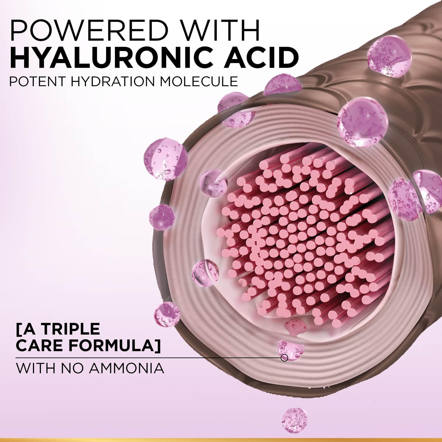 L'Oreal Paris Hair Colour, Radiant At-Home Hair Colour with up to 100% Grey Coverage, Excellence Creme, 4.2 Plum Brown, 72ml+100g 1