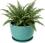 MyGift 7 Inch Round Matte Black Ceramic Plant Pot with Drainage Hole and Attached Saucer, Modern Decorative Embossed Sunburst Planter Container for Indoor Home Garden