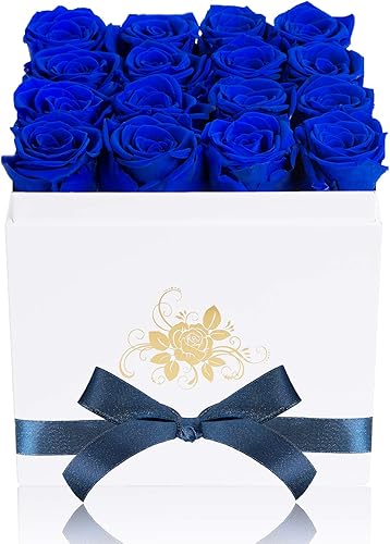 Perfectione Roses Rosas preservadas de lujo en una caja rosas reales azul real regalos románticos para su mamá esposa novia aniversario día de la