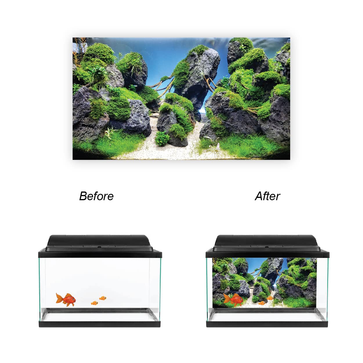 Aquarium Aufkleber Sonne & Wüste - Selbstklebend & Wasserdicht Für Atemberaubende Unterwasserlandschaften