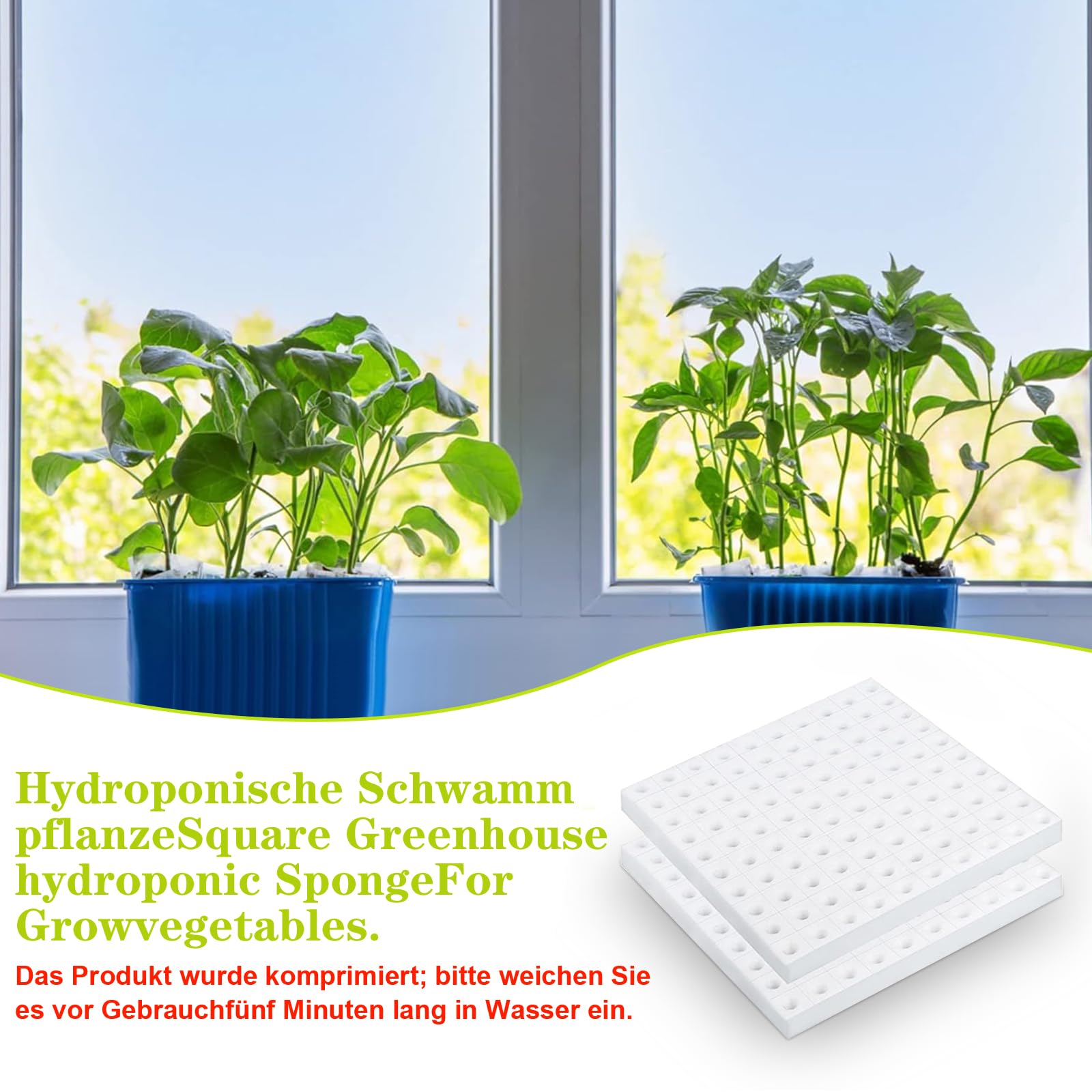 Lot de 500 éponges hydroponiques pour la croissance des plantes, outils de jardinage pour semis, serres et plantes potagères.