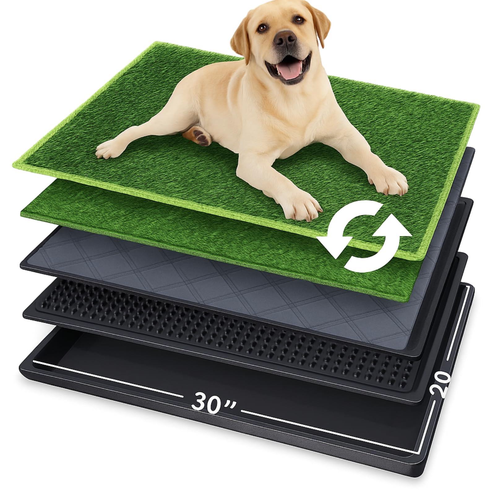 Inodoro para perros