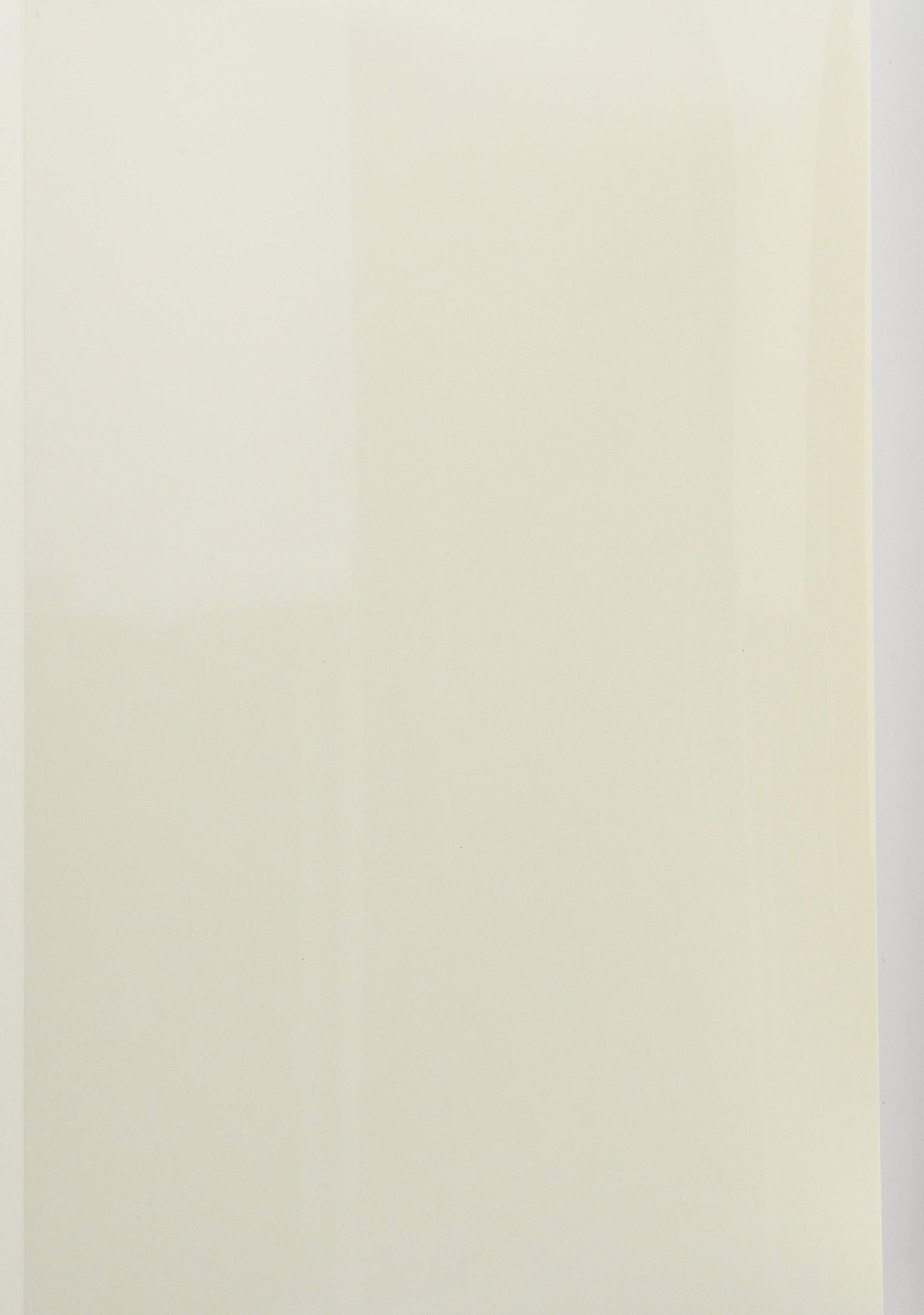 Tojita-kun Binding Cover, Clear White B5 Vertical, 0.7 inches (18