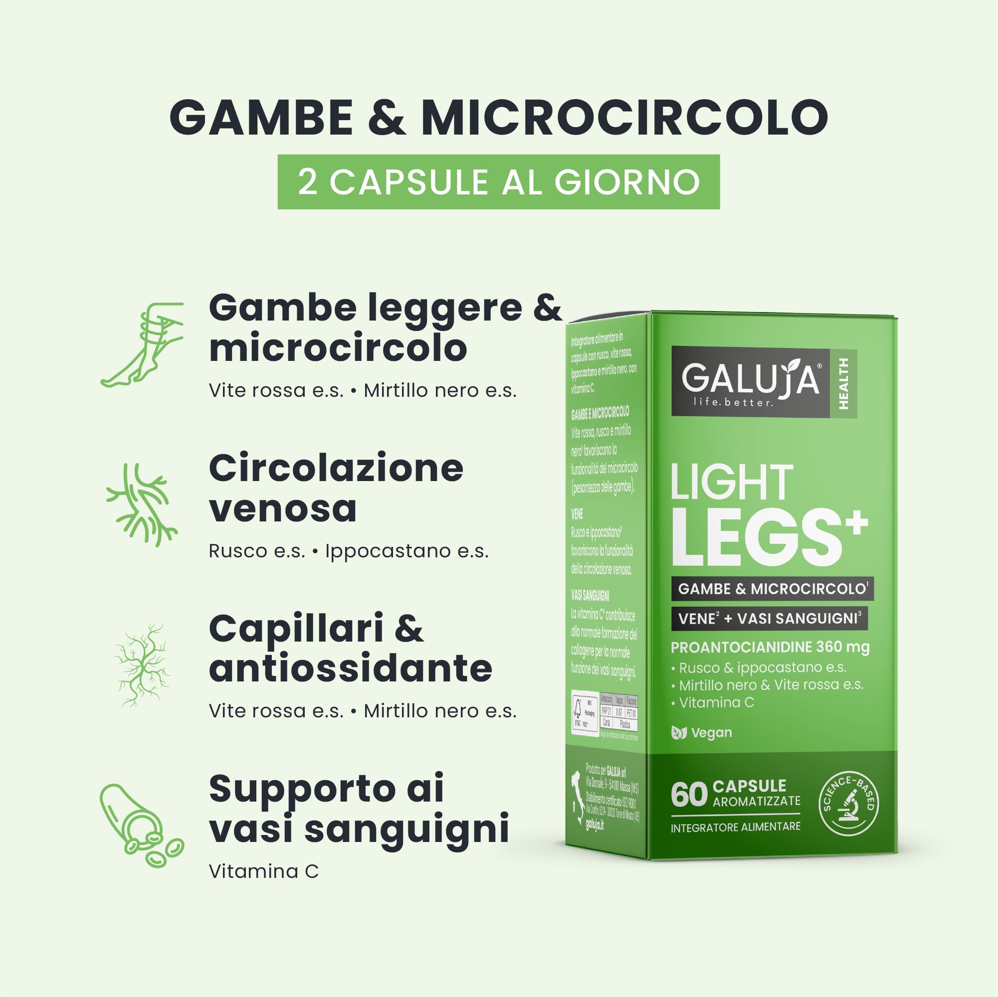 Light Legs+ - Integratore Gambe Leggere & Microcircolo - Proantocianidine 342 mg - 30 giorni (60 caps) - Vegan, senza glutine e lattosio, aroma pesca - Rusco, Ippocastano, Mirtillo