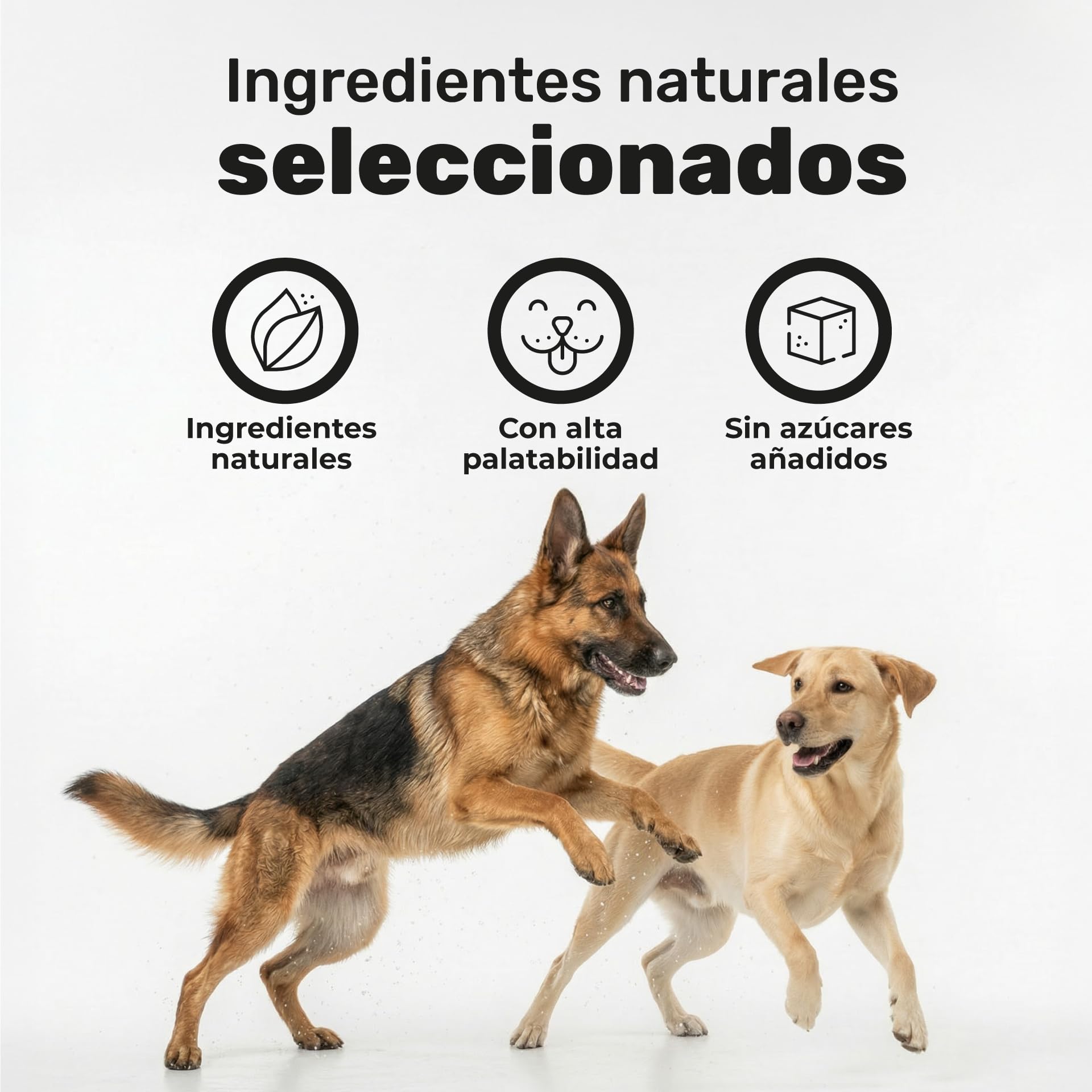 natuva pets Calmante para Perros - 120 Masticables con L-Triptófano, Ashwagandha, Magnesio, Melisa y Valeriana - Golosinas Relajantes para Perros - Ansiedad, Separación, Estrés, Petardos — view 6