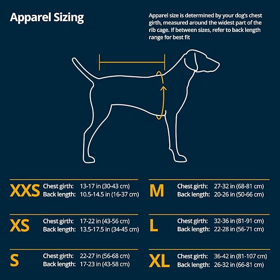 Ruffwear, Vert Dog Winter Jacket, Insulated Waterproof Dog Coat with Harness Leash Portal, Breathable Design with Leg Loops, Windproof Extended Coverage, Reflective Trim, Blue Pool, X-Small