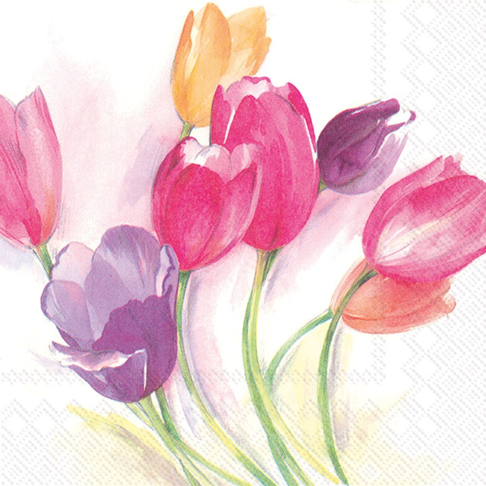 Celebrate The Home Floral 3-Ply Paper Cocktail Napkins, Tulip Season, 20-Count